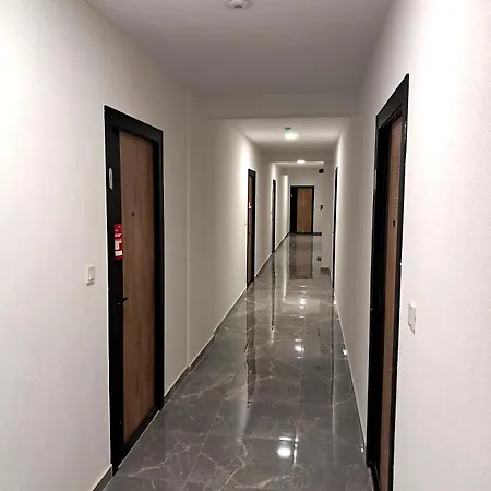 Apartpan Lekic * 巴尔